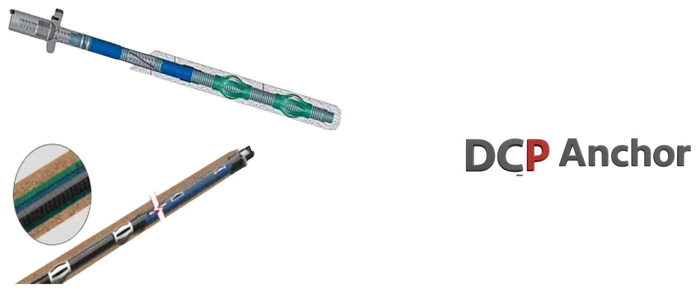 DCP Anchor